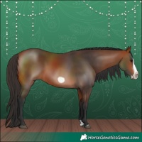 Horse Color:Bay Splash Frame Rabicano