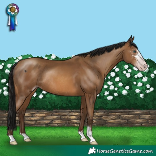 Horse Color:Gray Amber Champagne Sabino Rabicano