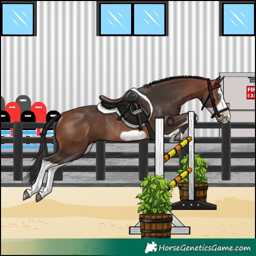 Horse Color:Bay Splash Frame Rabicano 