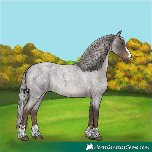 Horse Color:Unknown 