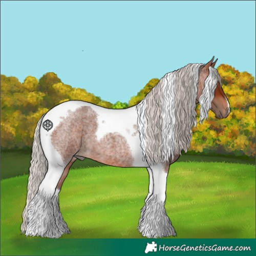 Horse Color:Silver Brown Roan Tobiano 