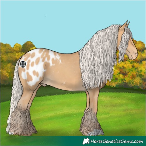 Horse Color:Silver Amber Cream Champagne Blanket 