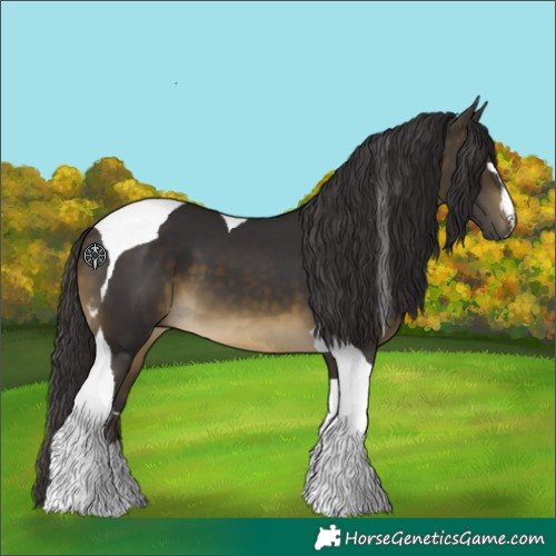 Horse Color:Buckskin Tobiano 