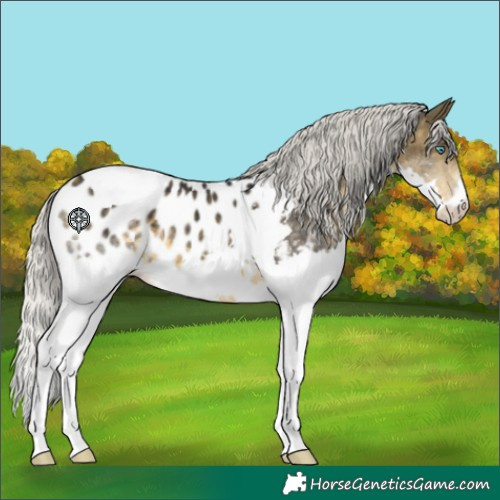 Horse Color:Silver Buckskin Splash Tobiano Blanket