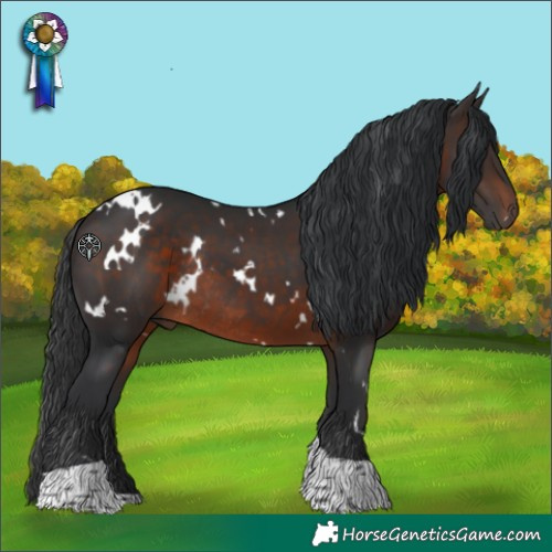 Horse Color:White Spotted Brown Tobiano Rabicano