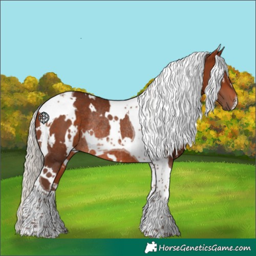 Horse Color:White Spotted Silver Bay Tobiano Rabicano