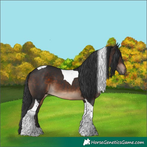 Horse Color:Brown Tobiano 