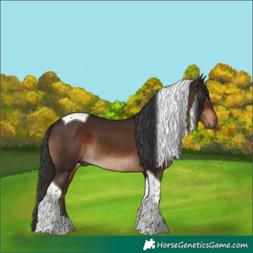 Horse Color:Liver Chestnut Tobiano 