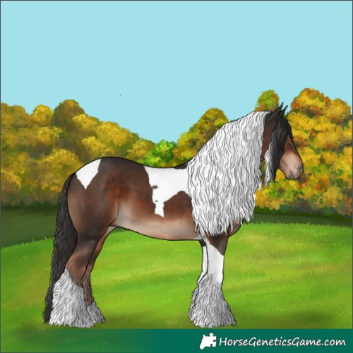 Horse Color:Liver Chestnut Tobiano 