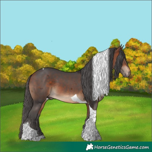 Horse Color:Bay Merle Tobiano 