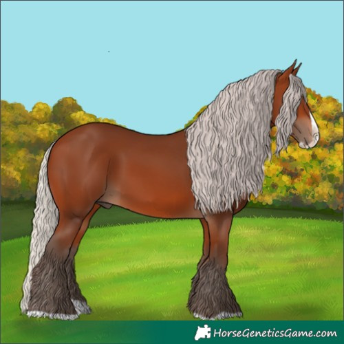 Horse Color:Silver Brown Splash