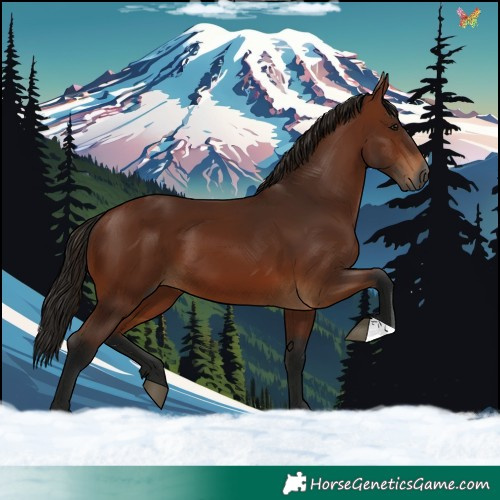Horse Color:Gray Bay