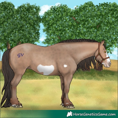 Horse Color:Amber Champagne Splash Frame Rabicano