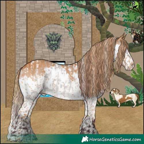 Horse Color:Chocolate Brown Chinchilla Dun Skewed Appaloosa and Gray Chestnut Splash Tobiano
