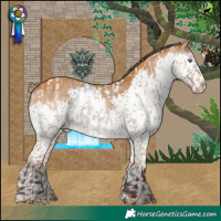 Horse Color:Chocolate Brown Chinchilla Dun Skewed LP Spotted and Gray Chestnut Splash Tobiano
