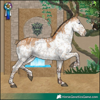 Horse Color:Chocolate Brown Chinchilla Dun Skewed LP Spotted and Gray Chestnut Splash Tobiano