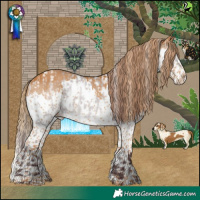 Horse Color:Chocolate Brown Chinchilla Dun Skewed LP Spotted and Gray Chestnut Splash Tobiano
