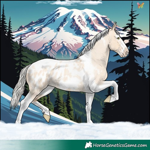 Horse Color:Silver Classic Champagne Roan Dun Splash Tobiano Frame Appaloosa Rabicano