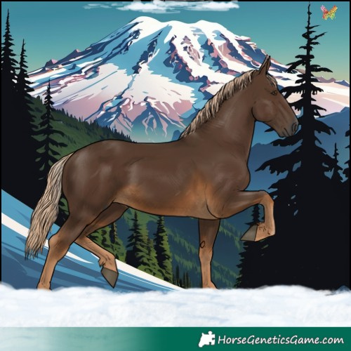 Horse Color:Gray Chocolate Palomino
