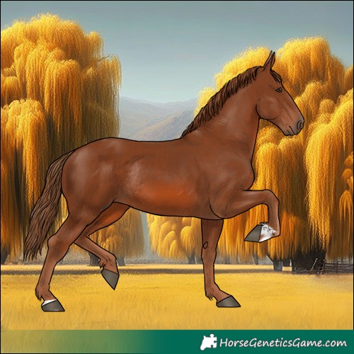 Horse Color:Chestnut and Chestnut Rabicano