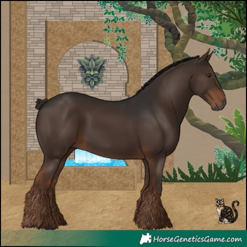 Horse Color:Gray Liver Chestnut 