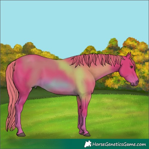 Horse Color:Watercolor Chestnut