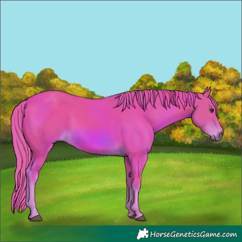 Horse Color:Watercolor Chestnut 