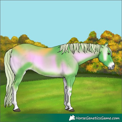 Horse Color:Watercolor Chocolate Palomino Onyx
