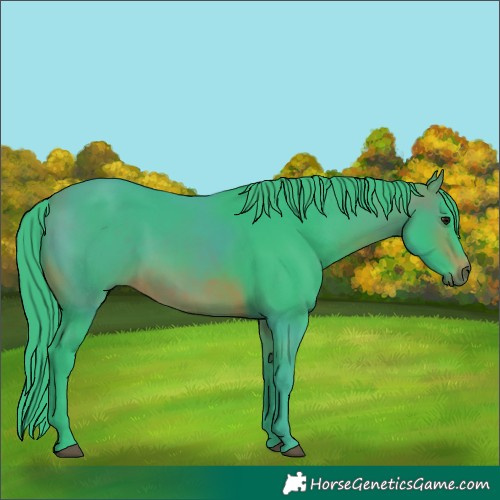Horse Color:Watercolor Brown