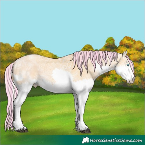 Horse Color:Painted Palomino Ice Dun Splash Tobiano