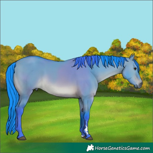 Horse Color:Watercolor Brown Dun