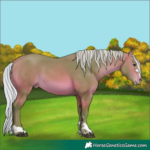 Horse Color:Watercolor Silver Bay 