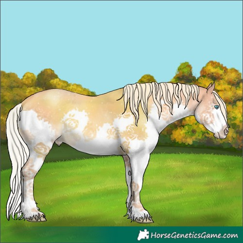 Horse Color:Watercolor Silver Amber Champagne Splash 