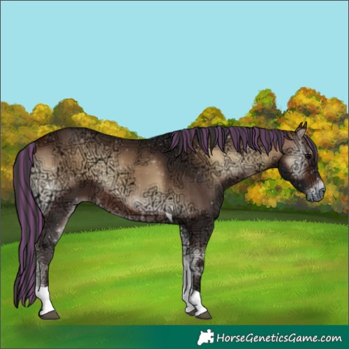 Horse Color:Painted Bay Ice Onyx Tobiano
