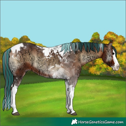 Horse Color:Painted Bay Ice Onyx Splash Tobiano