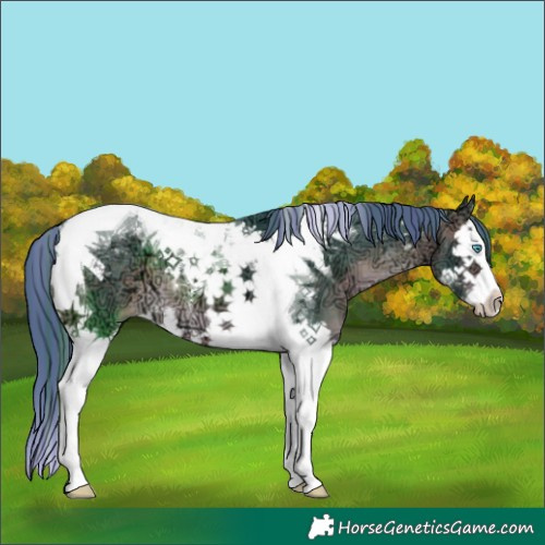 Horse Color:Painted Watercolor Brown Ice Splash Tobiano 