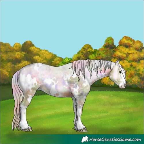 Horse Color:Nacre Watercolor White Spotted Silver Brown Ice Onyx Sabino