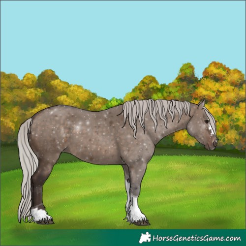 Horse Color:Silver Brown Dun Sabino Tobiano