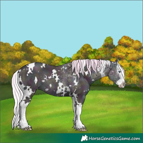 Horse Color:Watercolor White Spotted Midnight Chocolate Silver Bay Chinchilla Ice Dun Splash