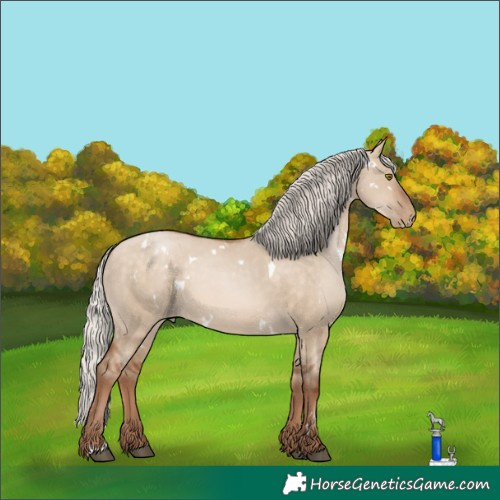 Horse Color:White Spotted Silver Brown Pearl Dun Rabicano