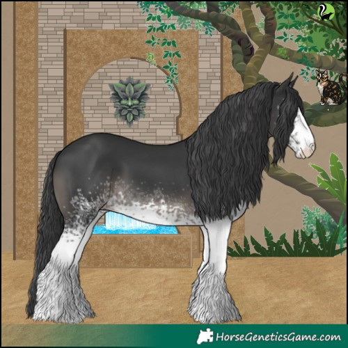 Horse Color:White Spotted Black