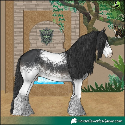 Horse Color:White Spotted Black 