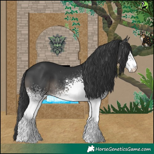 Horse Color:White Spotted Black 