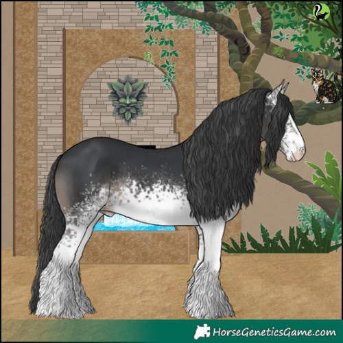 Horse Color:White Spotted Black