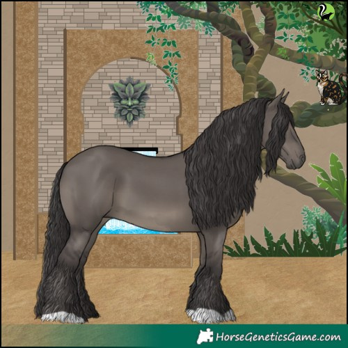 Horse Color:Smoky Grullo