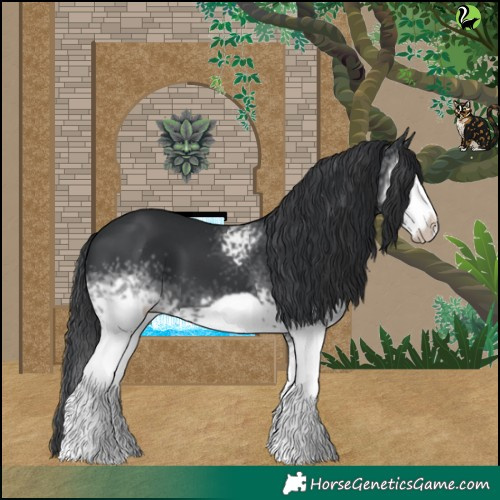 Horse Color:White Spotted Black Frame 