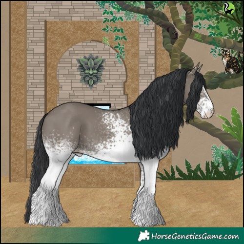Horse Color:White Spotted Grullo 