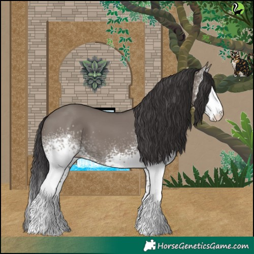 Horse Color:White Spotted Smoky Grullo 