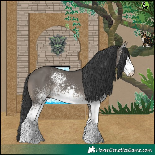 Horse Color:White Spotted Grullo 