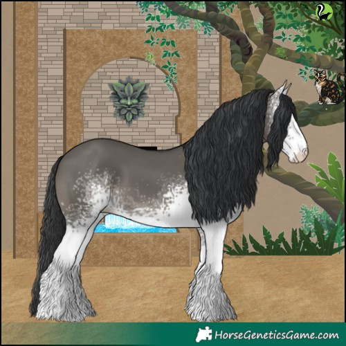 Horse Color:White Spotted Grullo